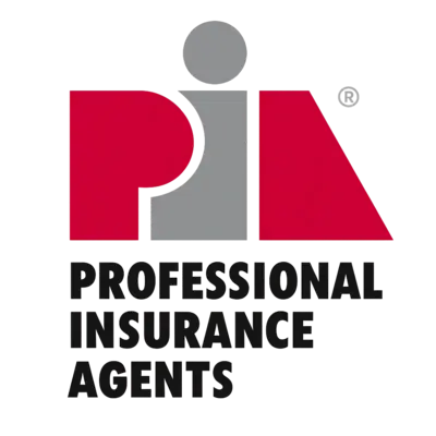 Professional Insurance Agents